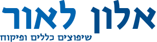 אלון לאור שיפוצים בניה ופיקוח